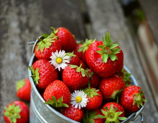 子育てが落ち着いたら何をする？40代から考えるこれからの人生